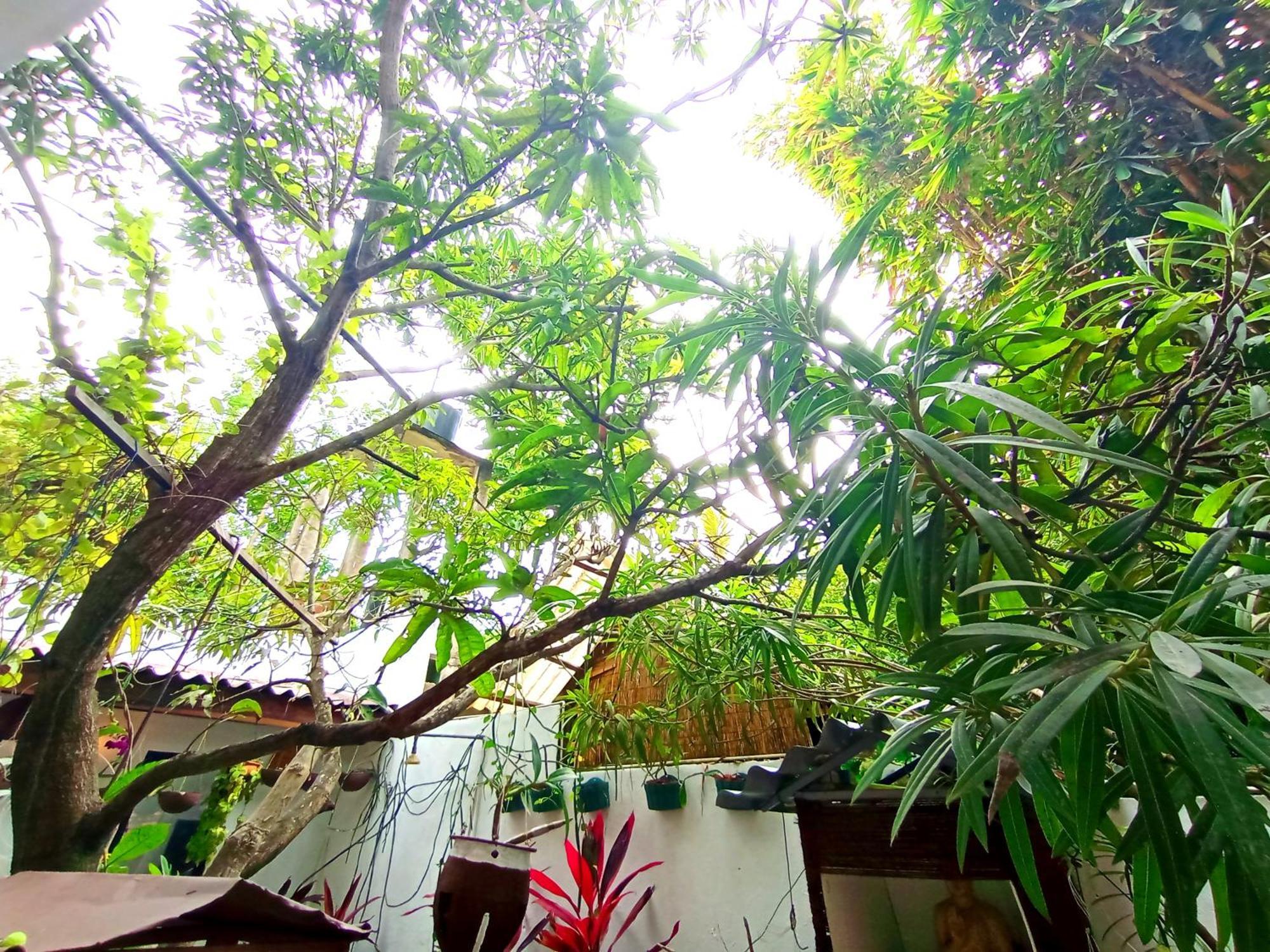 Ramesh Guesthouse Mirissa Dış mekan fotoğraf