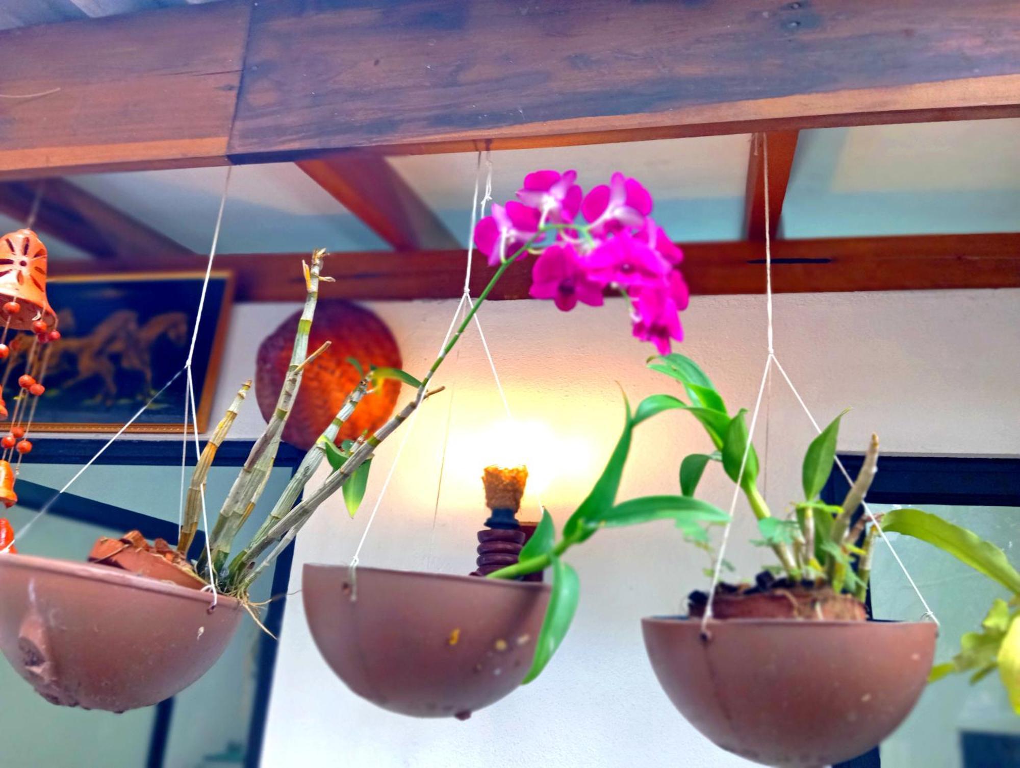Ramesh Guesthouse Mirissa Dış mekan fotoğraf
