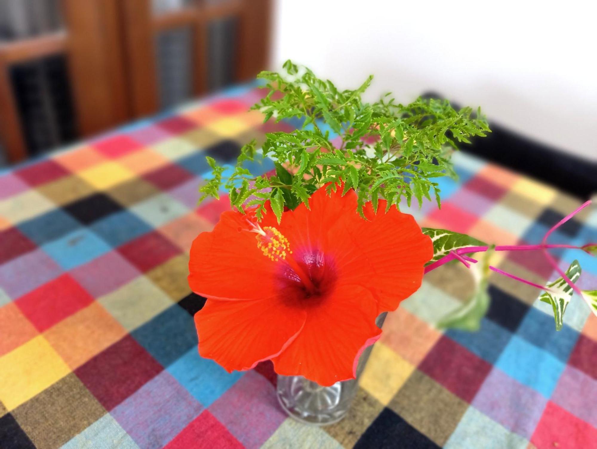 Ramesh Guesthouse Mirissa Dış mekan fotoğraf